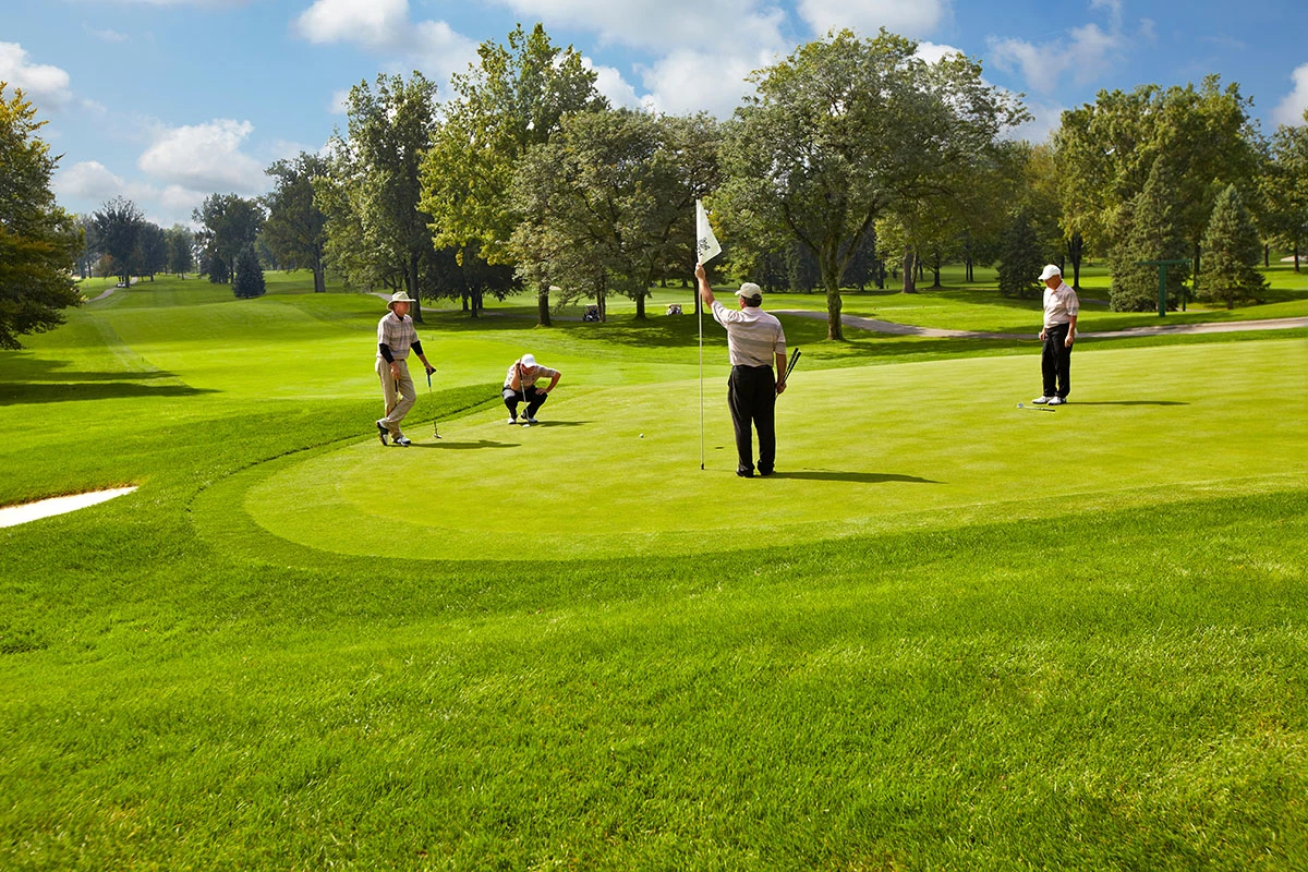 members golfing