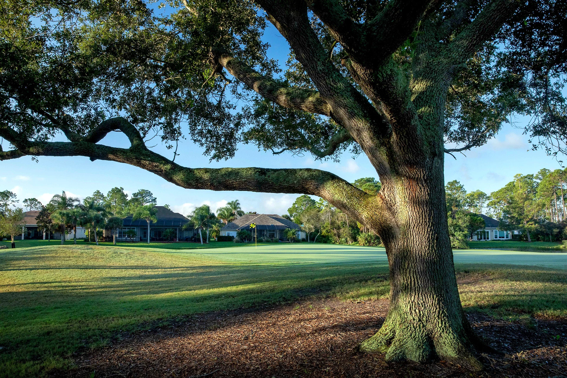 Marsh Creek Country Club - Golf Course