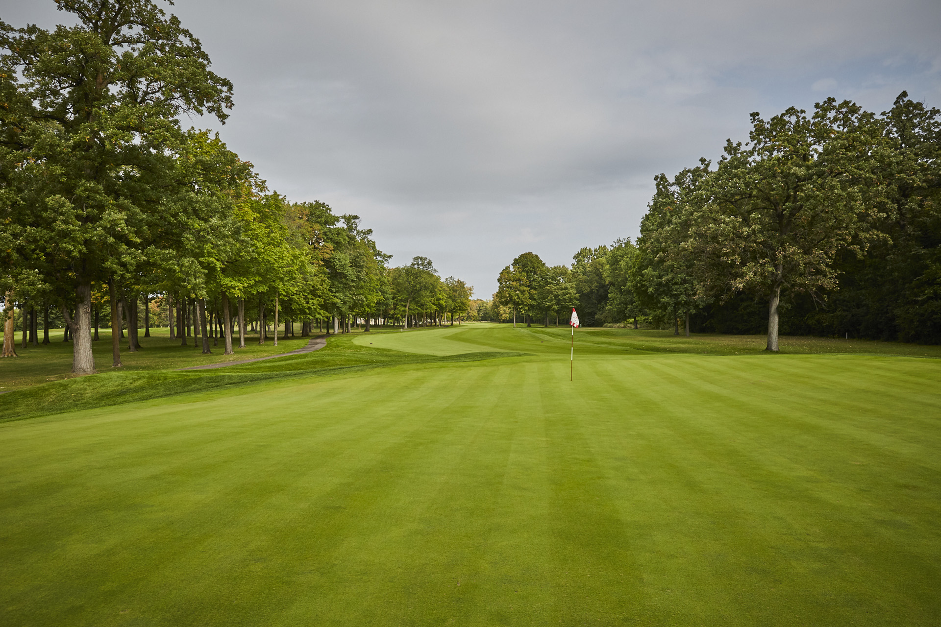 Medina Golf & Country Club - Golf Course Hole 14