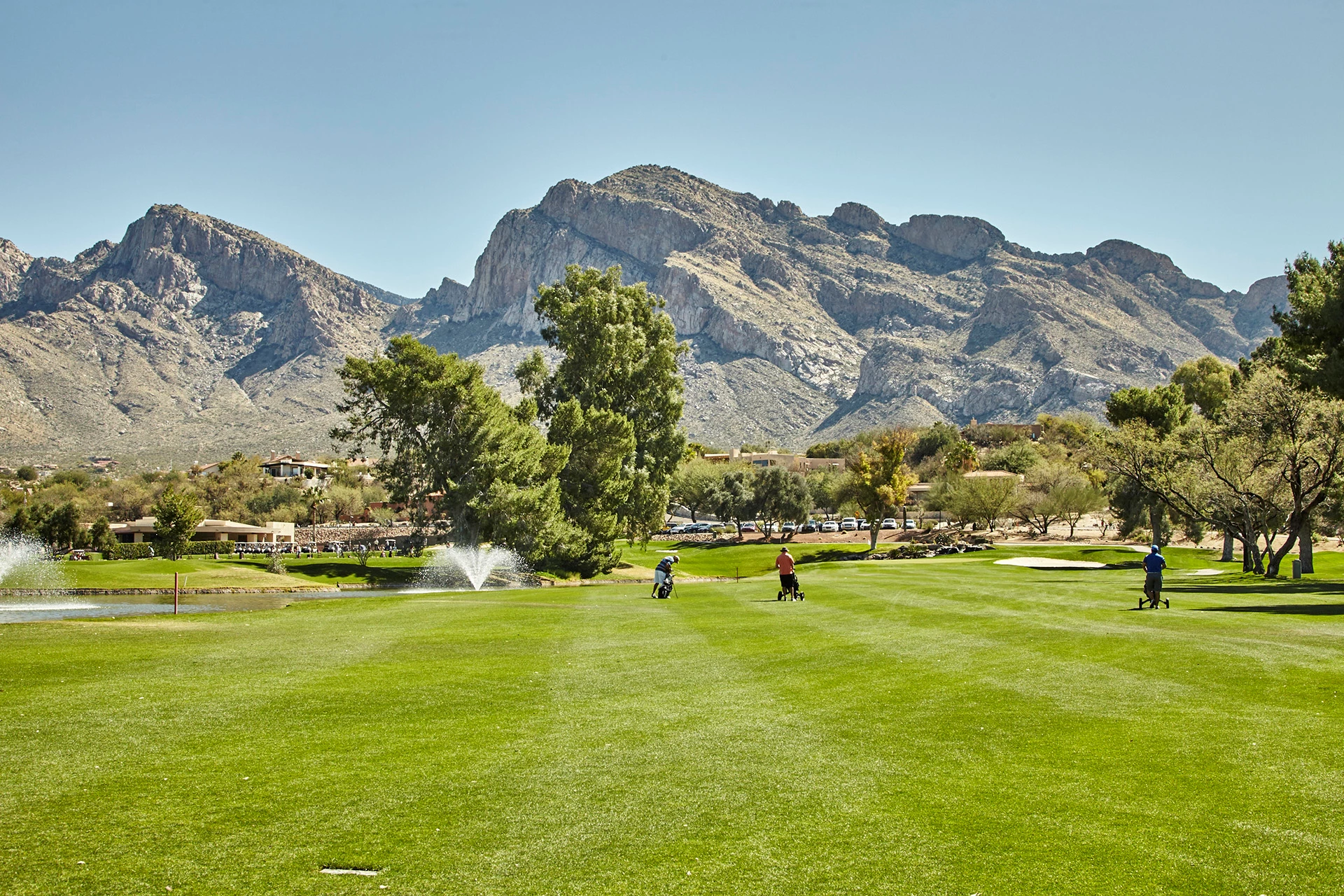 Oro Valley Country Club - Golfers