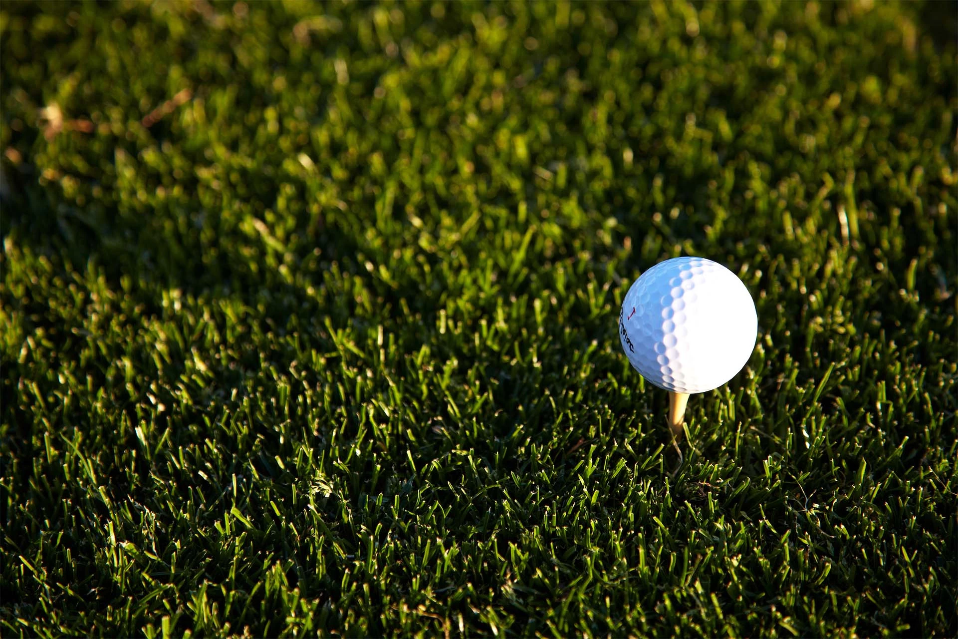 ball lined up on a tee