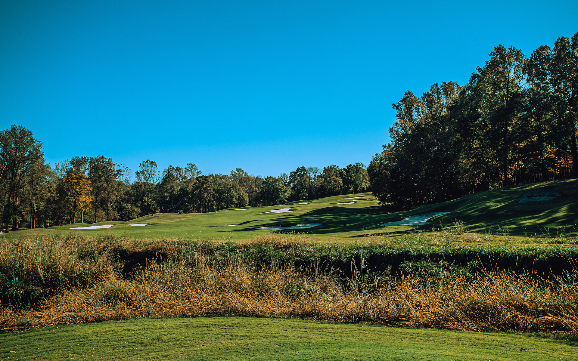 TPC Piper Glen - Golf Course
